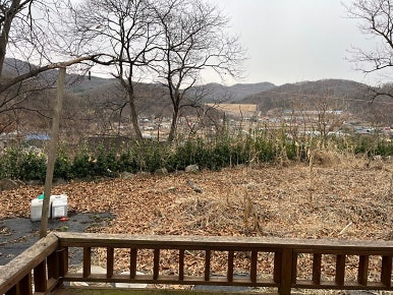 데크 너머로 잡초가 무성한 마당